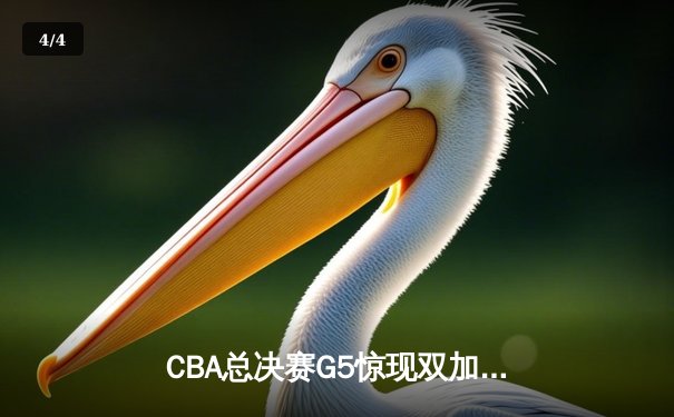 CBA总决赛G5惊现双加时！辽宁本钢险胜浙江广厦卫冕总冠军 - 4